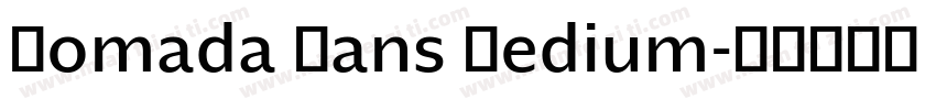 Nomada Sans Medium字体转换